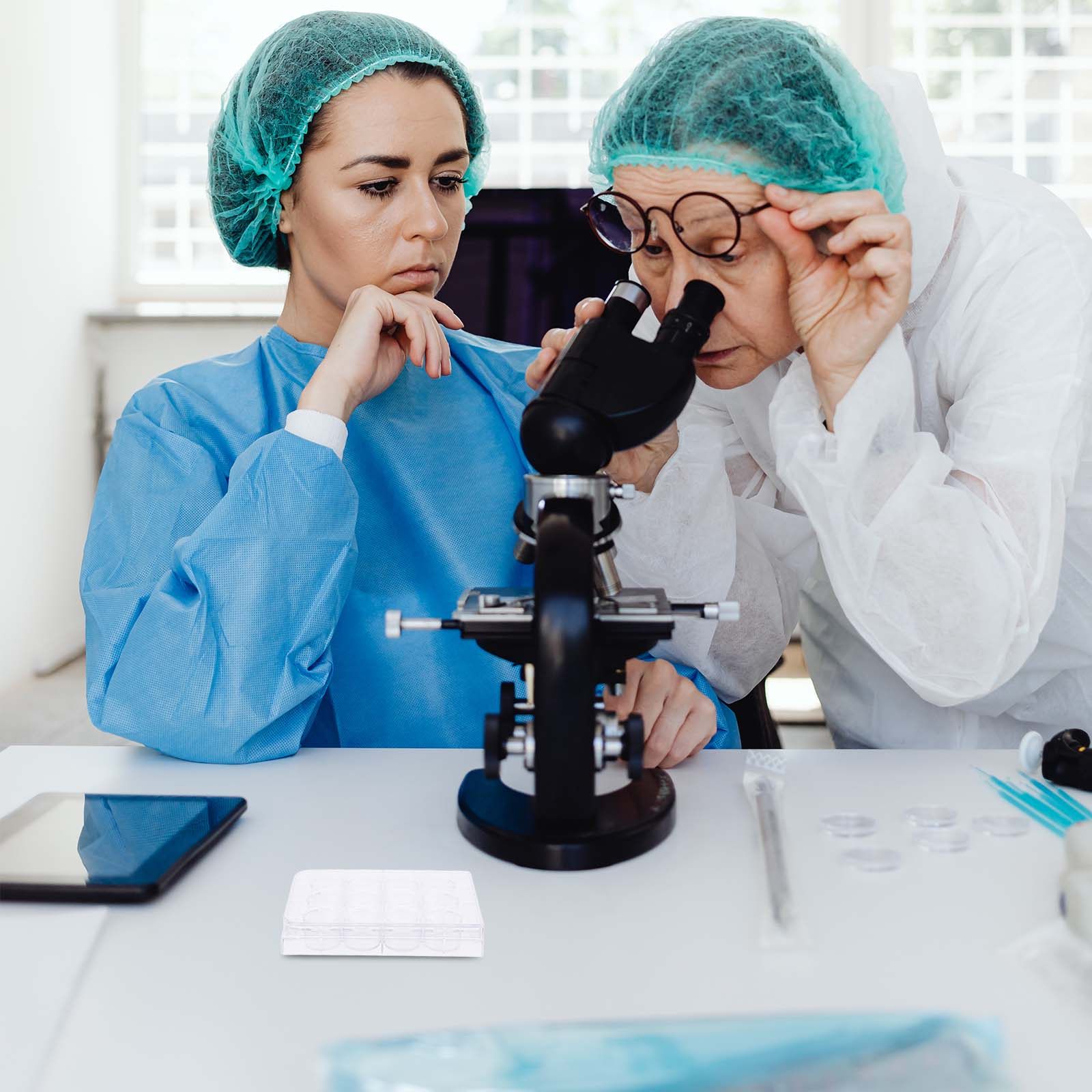 Lab Equipment - صينية زراعة الخلايا ذات 12 فتحة،
